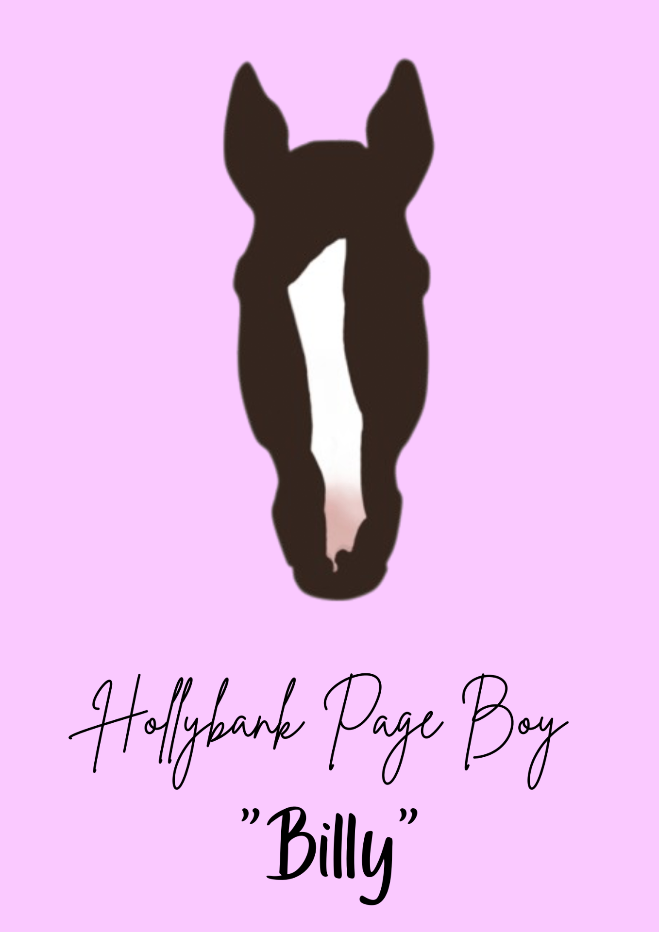 Hollybank Page Boy "Billy" — black pony on lilac
