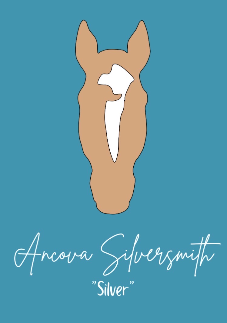 Ancova Silversmith "Silver" — palomino portrait
